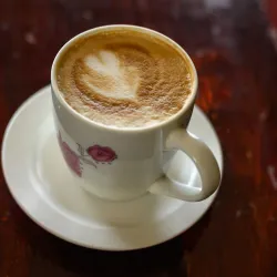 Bohol Bee Farm - Panglao