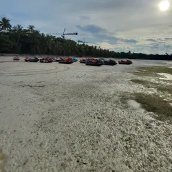 Doljo Beach - Panglao