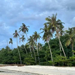 Doljo Beach - Panglao