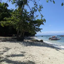 Momo Beach - Panglao