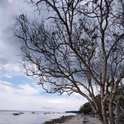 Momo Beach - Panglao