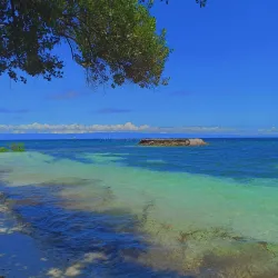 Momo Beach - Panglao