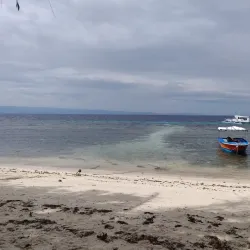 Momo Beach - Panglao