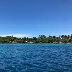 Nemo Beach - Panglao
