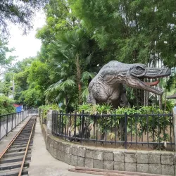 Rainforest Adventure Experience (RAVE) - Pasig