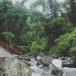 Lake Sebu - Polomolok