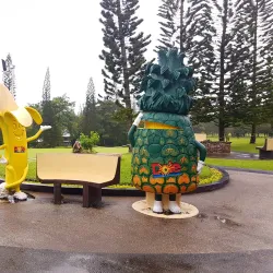 Pineapple Plantation Tours - Polomolok