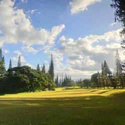 Pineapple Plantation Tours - Polomolok