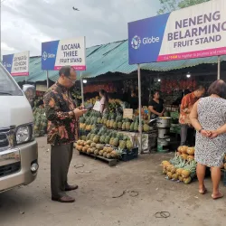 Pineapple Plantation Tours - Polomolok