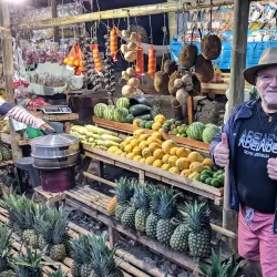 Pineapple Plantation Tours - Polomolok