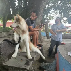 Polomolok Town Plaza - Polomolok