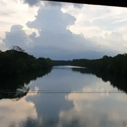 Iwahig Penal Colony Firefly Watching - Puerto Princesa