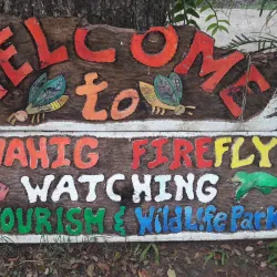Iwahig Penal Colony Firefly Watching - Puerto Princesa