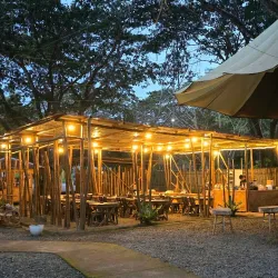 Iwahig Penal Colony Firefly Watching - Puerto Princesa