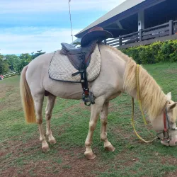 Mitra's Ranch - Puerto Princesa