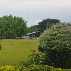 Mitra's Ranch - Puerto Princesa