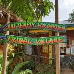 Palawan Butterfly Ecological Garden and Tribal Village - Puerto Princesa