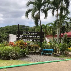 Palawan Wildlife Rescue and Conservation Center - Puerto Princesa