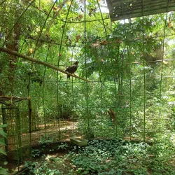 Palawan Wildlife Rescue and Conservation Center - Puerto Princesa
