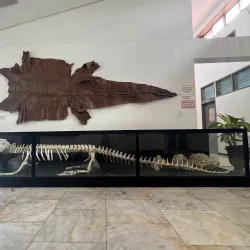 Palawan Wildlife Rescue and Conservation Center - Puerto Princesa