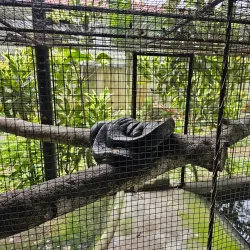 Palawan Wildlife Rescue and Conservation Center - Puerto Princesa