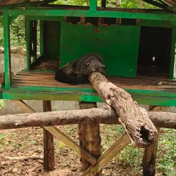 Palawan Wildlife Rescue and Conservation Center - Puerto Princesa