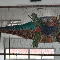 Palawan Wildlife Rescue and Conservation Center - Puerto Princesa