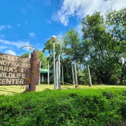 Ninoy Aquino Parks and Wildlife Center - Quezon City