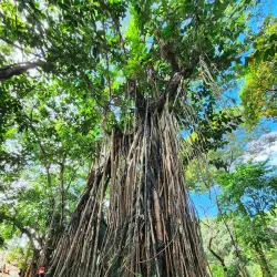Ninoy Aquino Parks and Wildlife Center - Quezon City