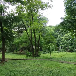 Ninoy Aquino Parks and Wildlife Center - Quezon City