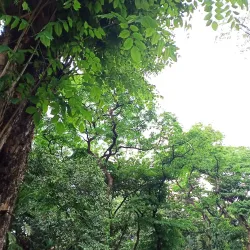 Ninoy Aquino Parks and Wildlife Center - Quezon City