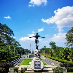 UP Diliman Campus - Quezon City