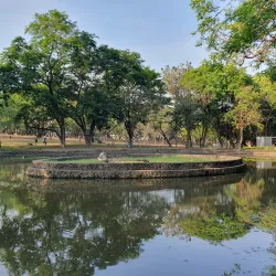 UP Diliman Campus - Quezon City