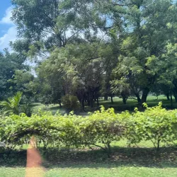 UP Diliman Campus - Quezon City