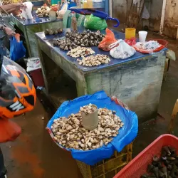 Capiz Seafood Market - Roxas