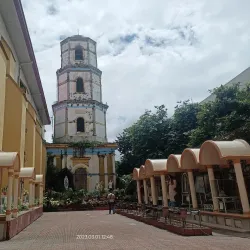 Immaculate Conception Metropolitan Cathedral - Roxas
