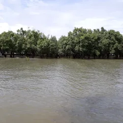 Panay Island Marine Sanctuary - Roxas
