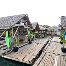 Panay Island Marine Sanctuary - Roxas