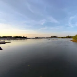 Panay Island Marine Sanctuary - Roxas