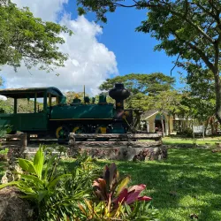 San Carlos City Eco-Park - San Carlos City