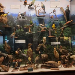 San Carlos City Museum - San Carlos City