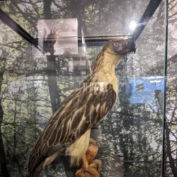 San Carlos City Museum - San Carlos City