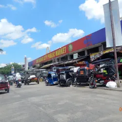 San Carlos City Public Market - San Carlos City