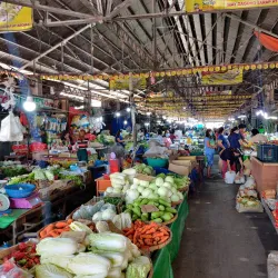 San Carlos City Public Market - San Carlos City
