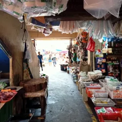 San Carlos City Public Market - San Carlos City