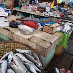San Carlos City Public Market - San Carlos City