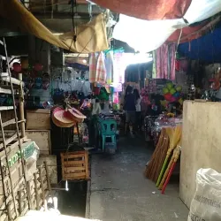 San Carlos City Public Market - San Carlos City