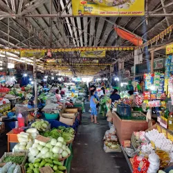 San Carlos City Public Market - San Carlos City
