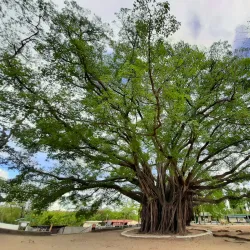 Sipaway Island - San Carlos City
