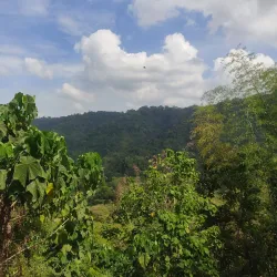 La Union Botanical Garden - San Juan